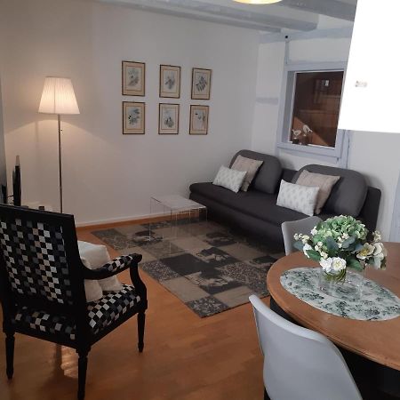 Margot - Hyper Centre Colmar Apartment Екстериор снимка