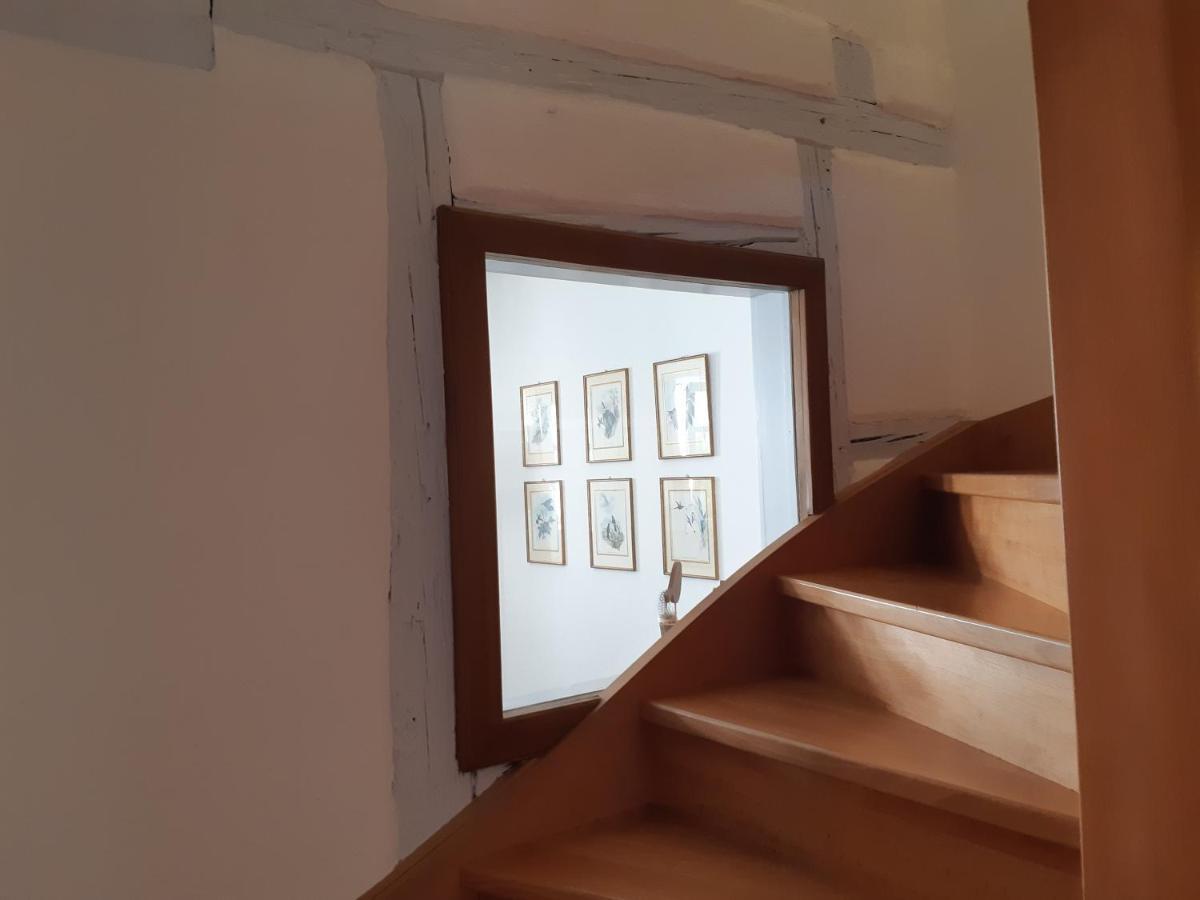 Margot - Hyper Centre Colmar Apartment Екстериор снимка